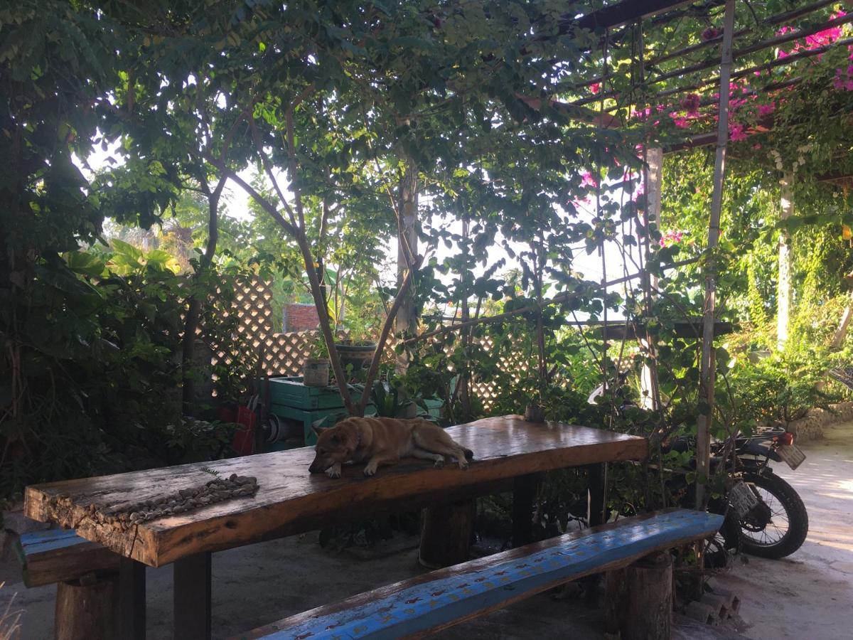 Confetti House Quy Nhon Exterior foto